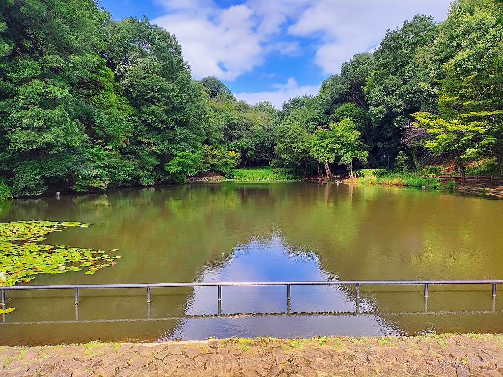 都筑中央公園